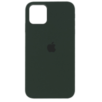 Чохол Silicone Case iPhone 12 Pro Max 6.7'' зелений (cyprus green)