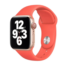 Ремешок Apple Watch silicone 38/40/41 mm арбузный (watermelon red)