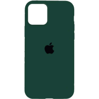 Чохол Silicone Case iPhone 12 Pro Max 6.7'' зелений (clover)