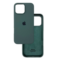 Чехол Silicone Case iPhone 16 Pro Зеленый (Pine green)
