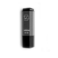 USB Flash T&G TG121 64Gb Vega series Чорна