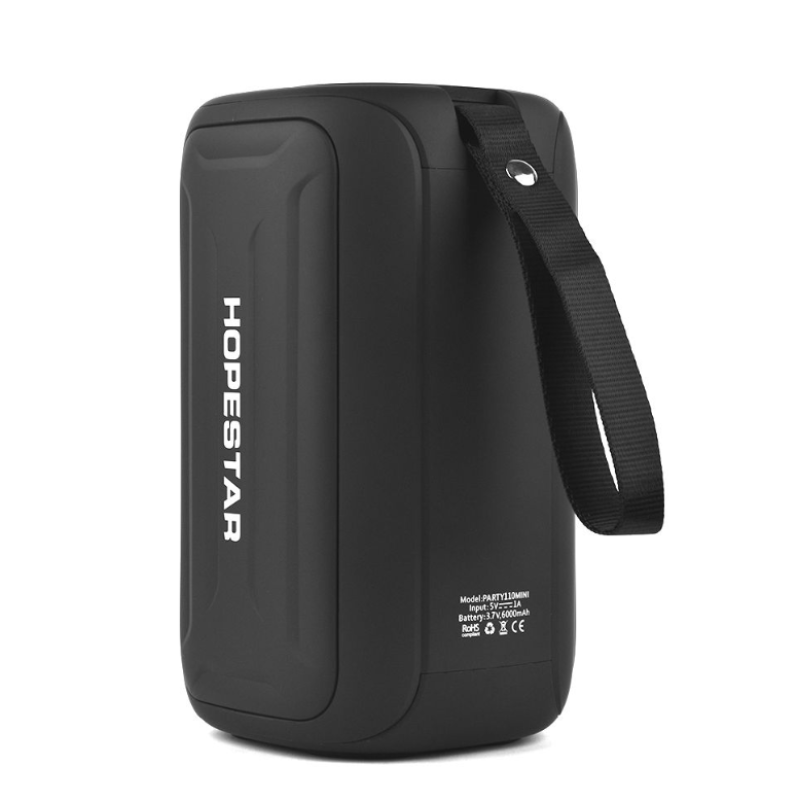 Колонка HOPESTAR Party 110 mini з радіо