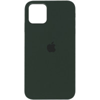Чехол Silicone Case iPhone 12/Pro 6.1'' зеленый (Cyprus Green)