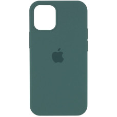 Чехол Silicone Case iPhone 12 Pro Max 6.7'' зеленый (light cactus)