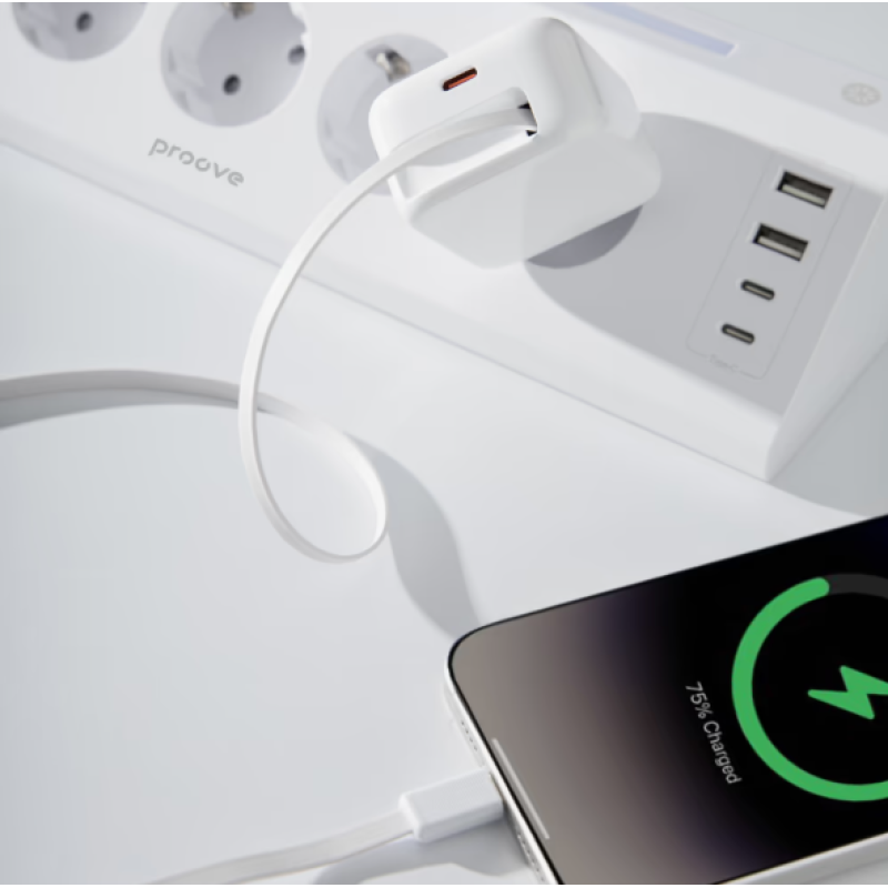 Сетевое зарядное устройство Proove Fixtape GAN 30 Вт (с кабелем Type C) white