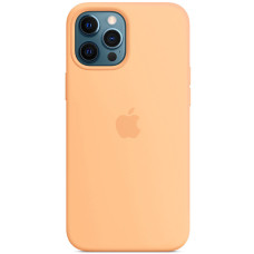 Чехол Silicone Case iPhone 12 Pro Max 6.7'' Оранжевый (Cantaloupe)
