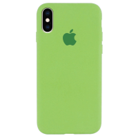 Чохол Silicone Case iPhone Xs Max м'ятний