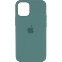 Чохол Silicone Case iPhone 15 Pro Зелений (Pine Green)