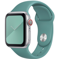 Ремешок Apple Watch silicone 38/40/41 mm зеленый (Cactus)